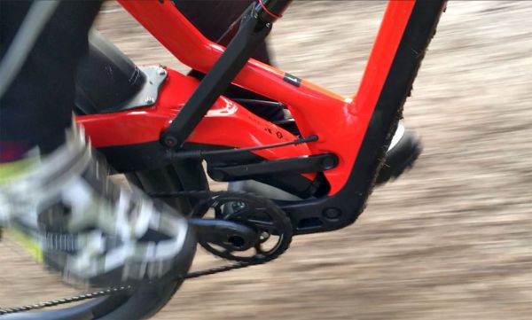 Marin Wolf Ridge PRO