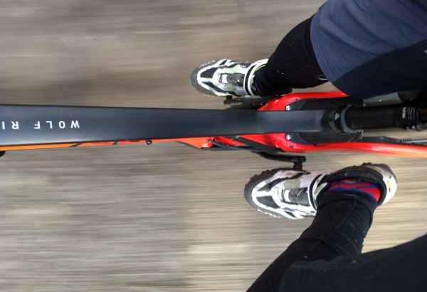 Marin Wolf Ridge PRO