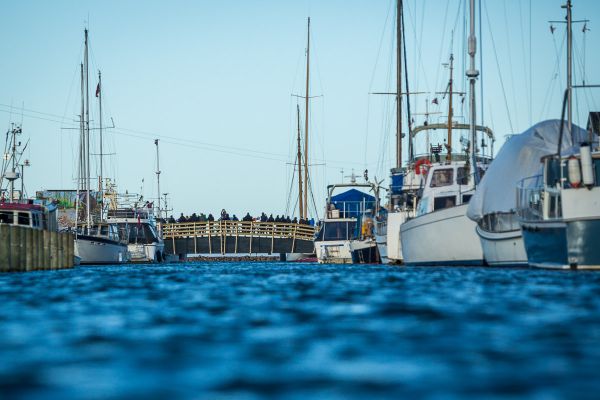 Světový pohár CX #4 - Bogense 2017