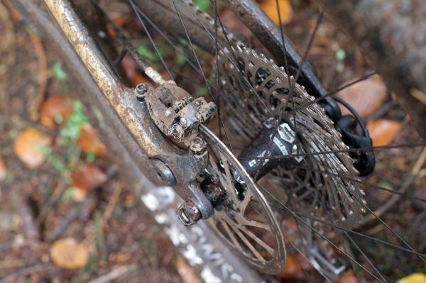 Představení Canyon Spectral 2018