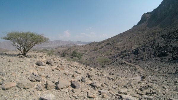 Některé traily v Hatta MTB Trail Centre nabízí slušnou flow