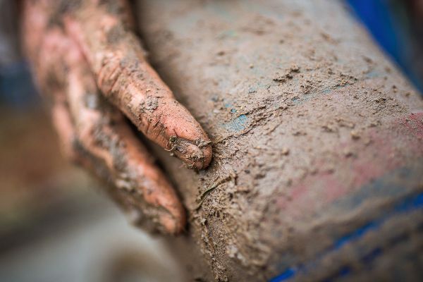 A opět slečna Vaníčková