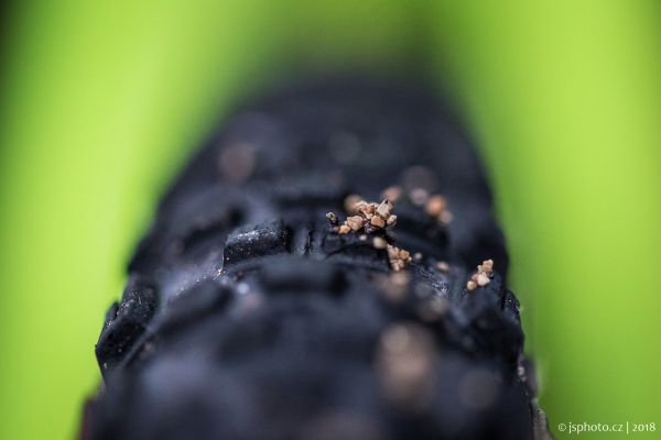 Světový pohár CX #8, Nommay 2017 - jun/U23