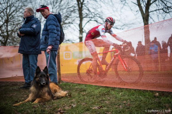 Světový pohár CX #8, Nommay 2017 - Elite