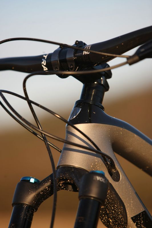 Trek Fuel EX 9.8 29" GX