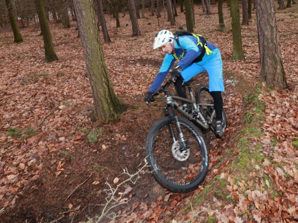 Trek Fuel EX 9.8 29" GX