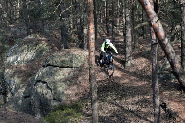 Mondraker Foxy Carbon R