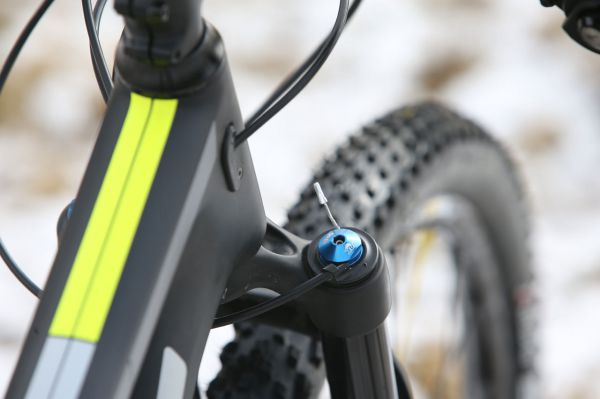 Author A-Ray 29 Team