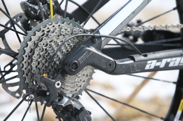 Author A-Ray 29 Team