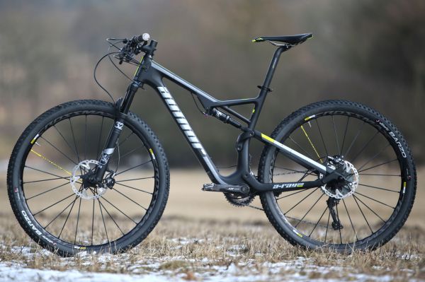 Author A-Ray 29 Team