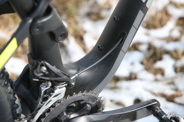 Author A-Ray 29 Team