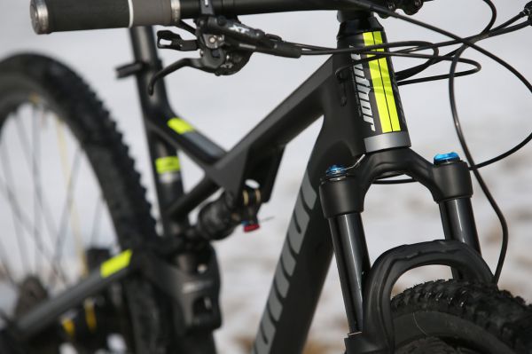 Author A-Ray 29 Team