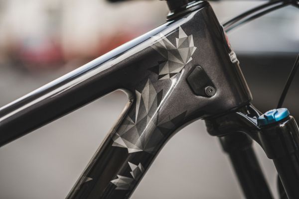 Rocky Mountain Vertex