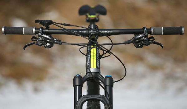 Author A-Ray 29 Team