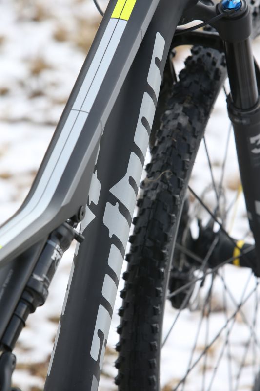 Author A-Ray 29 Team