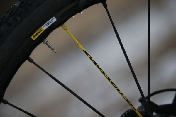 Author A-Ray 29 Team