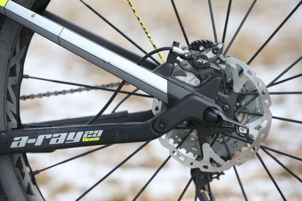 Author A-Ray 29 Team