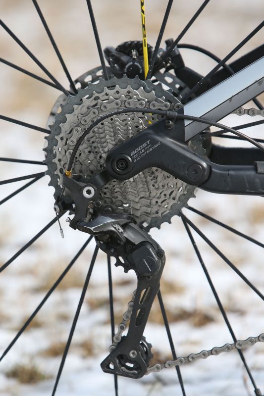 Author A-Ray 29 Team