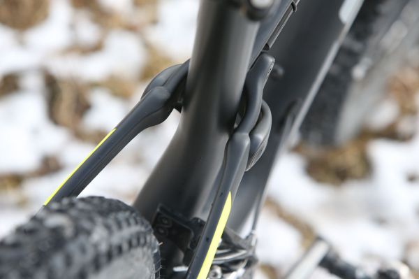 Author A-Ray 29 Team