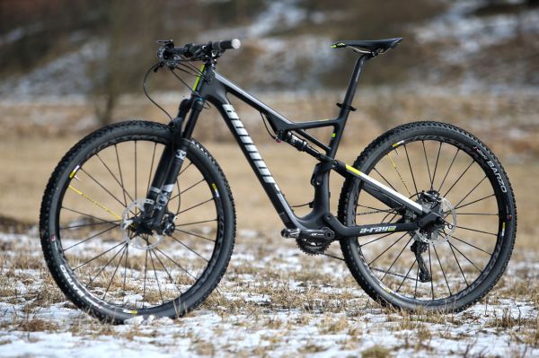 Author A-Ray 29 Team