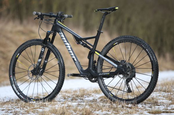 Author A-Ray 29 Team