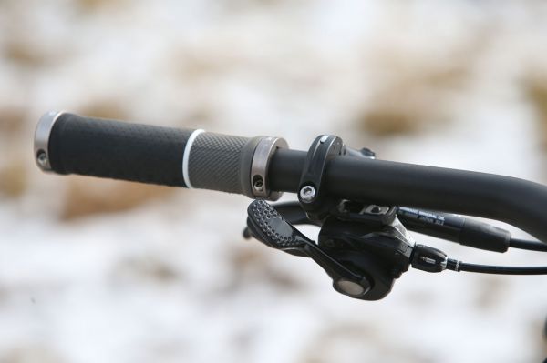 Author A-Ray 29 Team