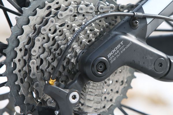 Author A-Ray 29 Team