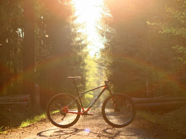 GT Zaskar 29 Carbon Expert