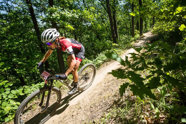 Jitka Škarnitzlová