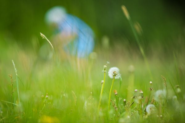 Štamberský král 2018