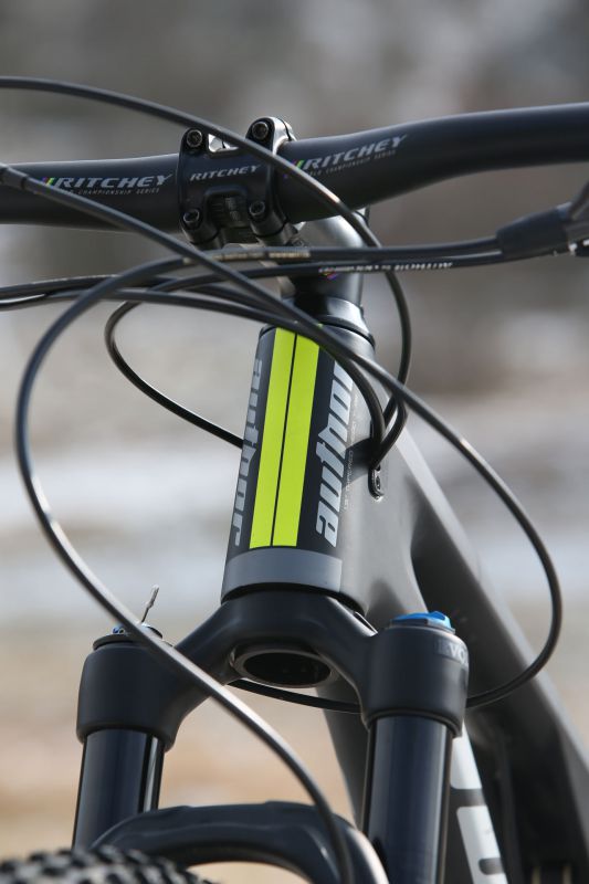 Author A-Ray 29 Team