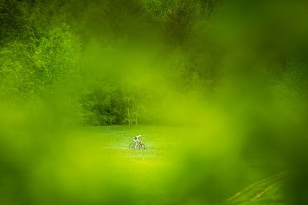 Štamberský král 2018