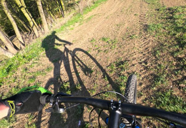 GT Zaskar 29 Carbon Expert