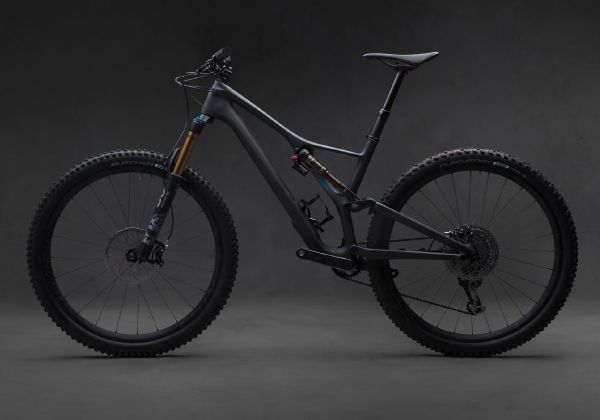 Specialized Stumpjumper 2019