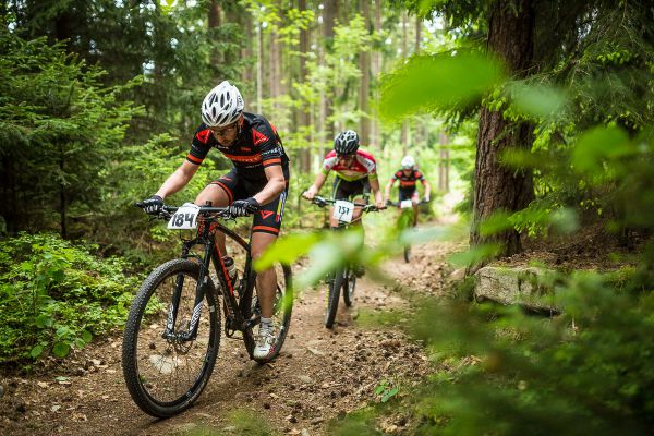 Štamberský král 2018