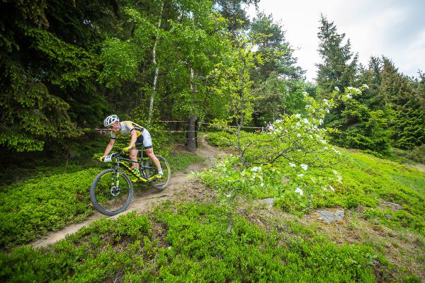 Štamberský král 2018