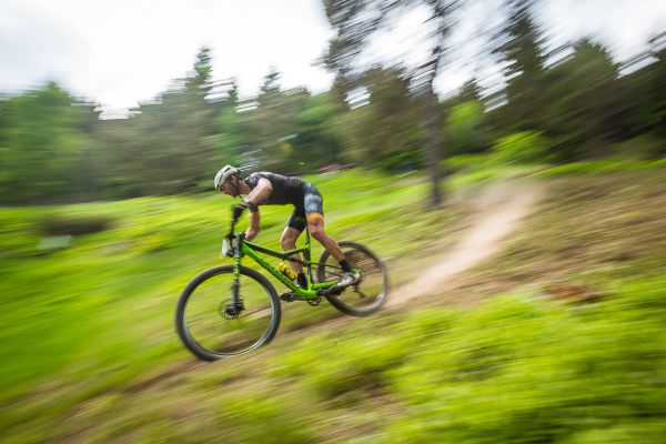 Štamberský král 2018