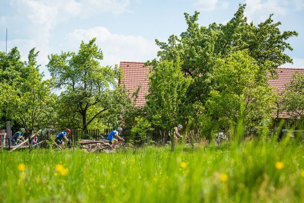 Štamberský král 2018