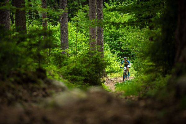 Štamberský král 2018