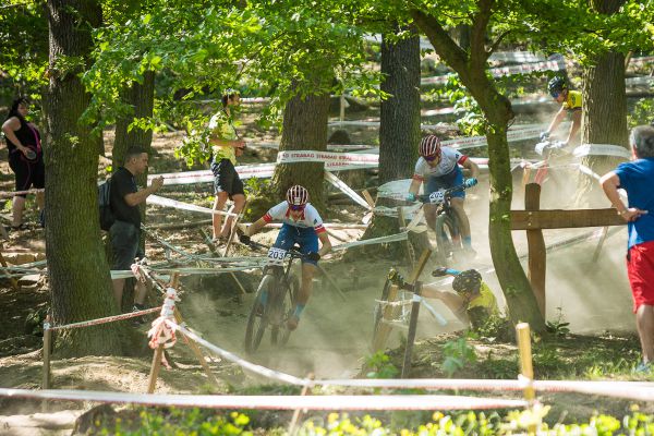 Honsa a Bedrník na kole, Schierl na zemi