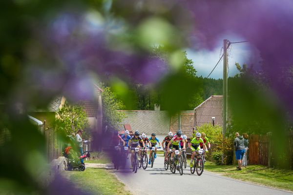 Štamberský král 2018