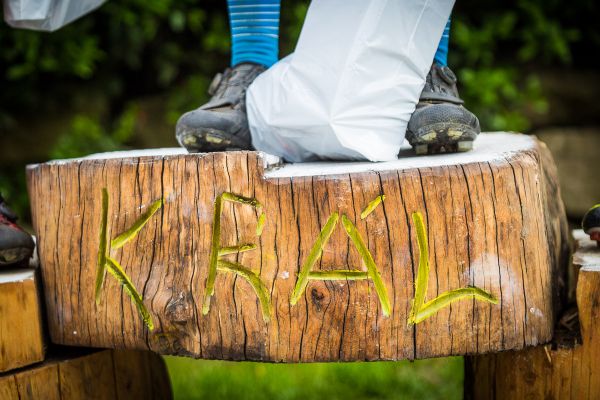 Štamberský král 2018