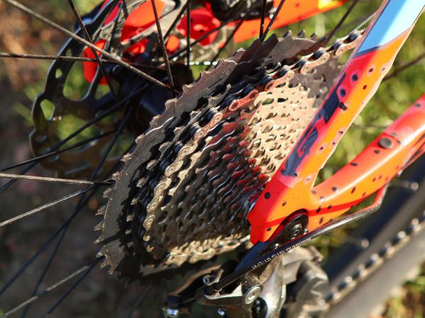 GT Zaskar 29 Carbon Expert