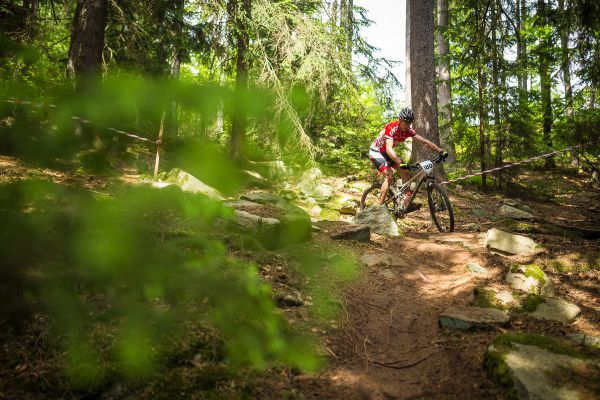 Štamberský král 2018