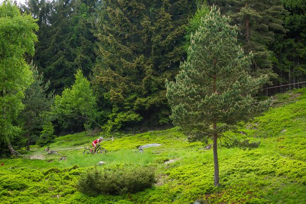 Štamberský král 2018