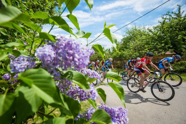 Štamberský král 2018
