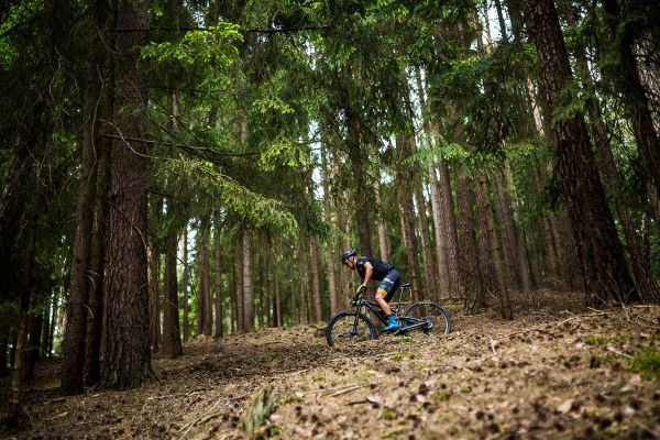 Štamberský král 2018