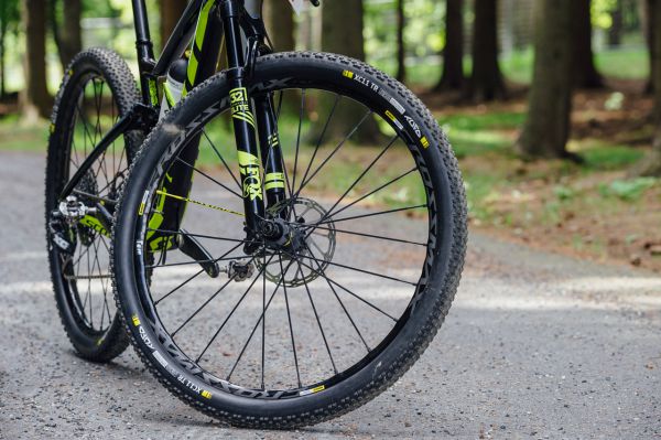 Scott Tomáše Paprstky