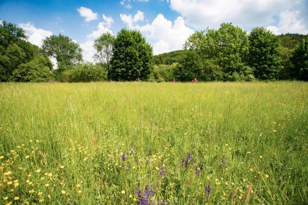 Kolo pro život 2018 - #3 Mladá Boleslav