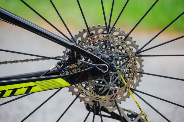 Scott Tomáše Paprstky